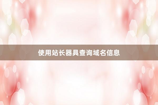 使用站长器具查询域名信息