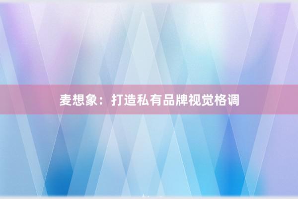 麦想象：打造私有品牌视觉格调