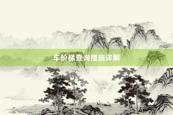 车阶梯查询措施详解