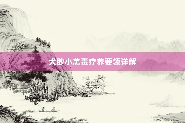 犬眇小恙毒疗养要领详解