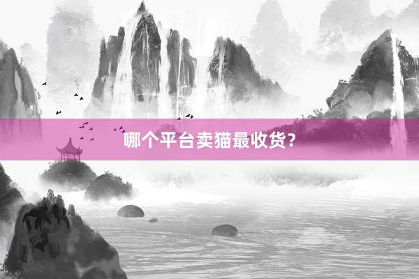 哪个平台卖猫最收货?