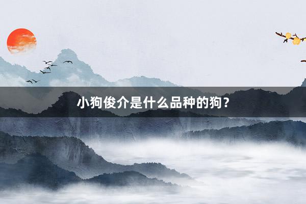 小狗俊介是什么品种的狗？