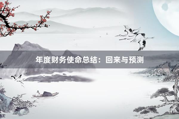 年度财务使命总结：回来与预测